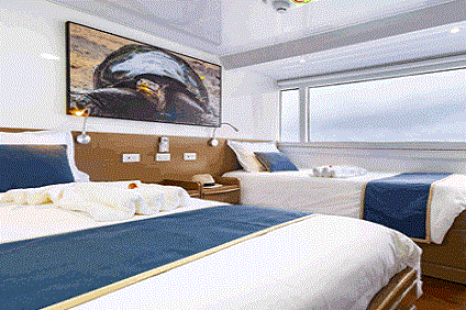 Cabin 5, Upper Deck Photo