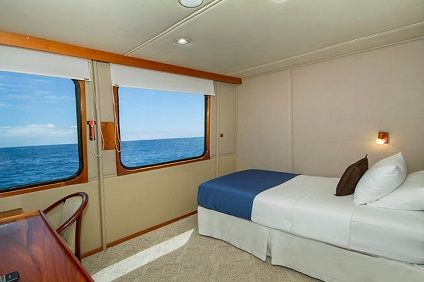 Single Stateroom Photo