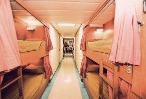 C Bunk Bed Cabins Photo