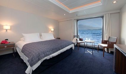 Cat AAA Superior Photo