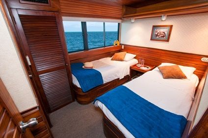 Dolphin Deck Cabin Photo