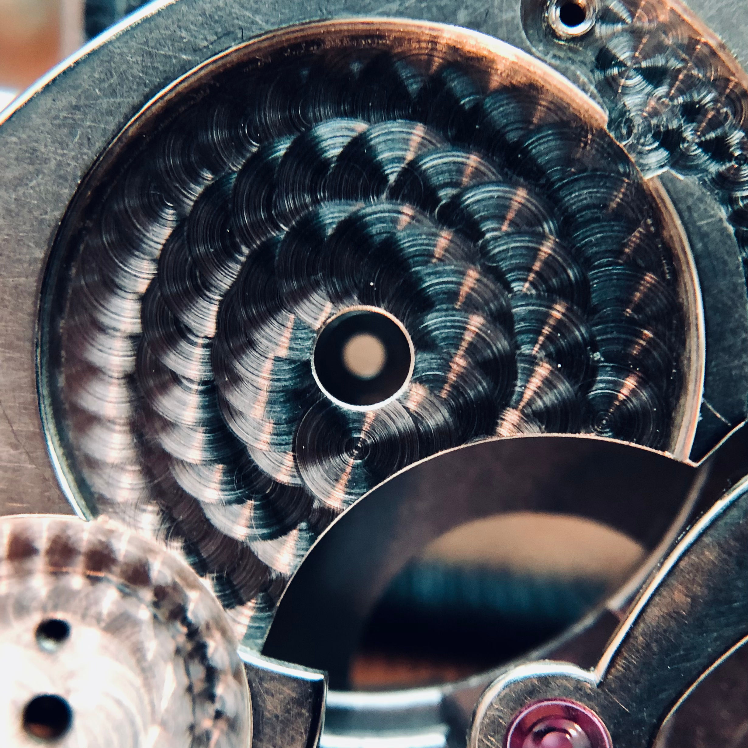 Portfolio Bild man22.heic