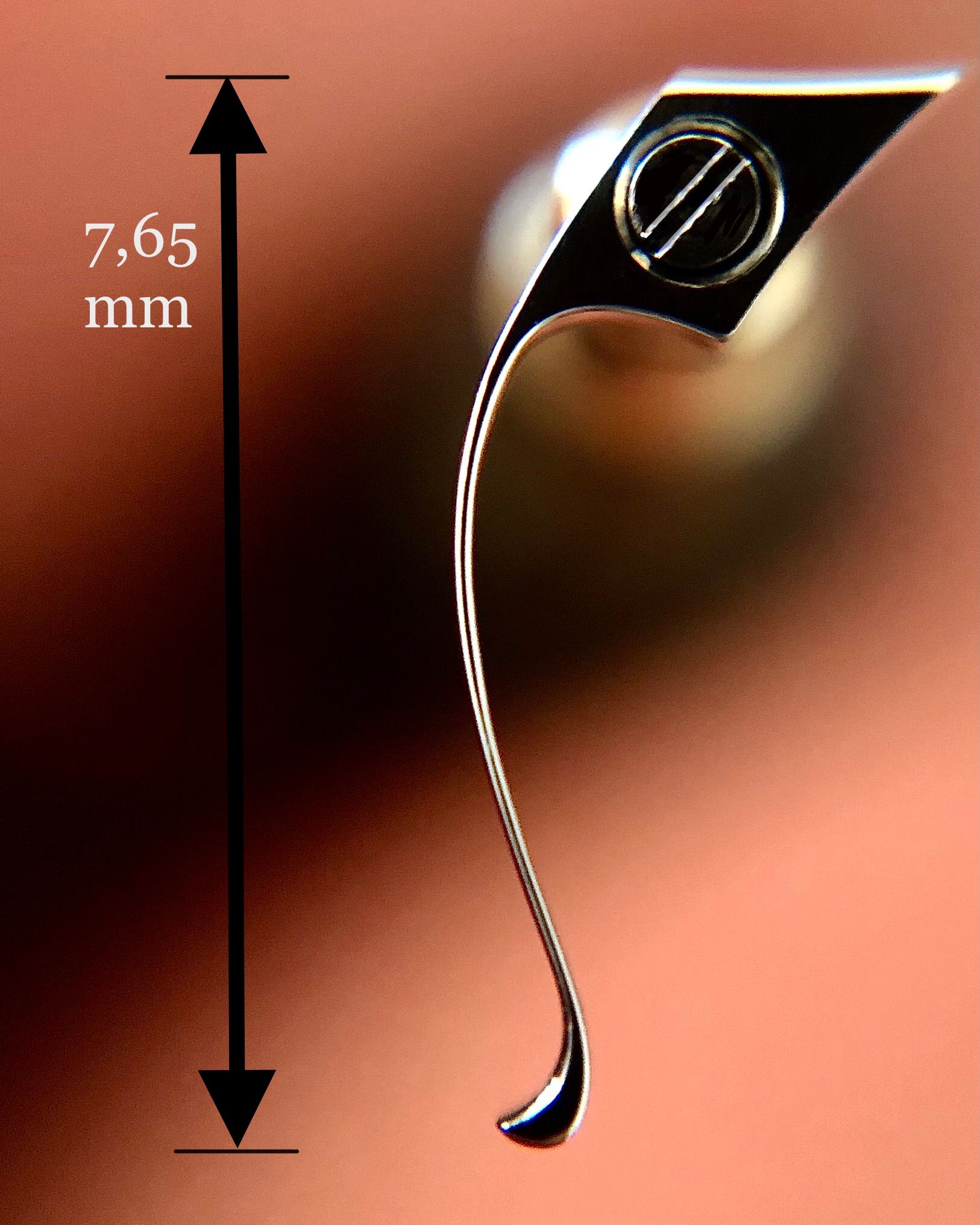 Portfolio Bild man24.jpg