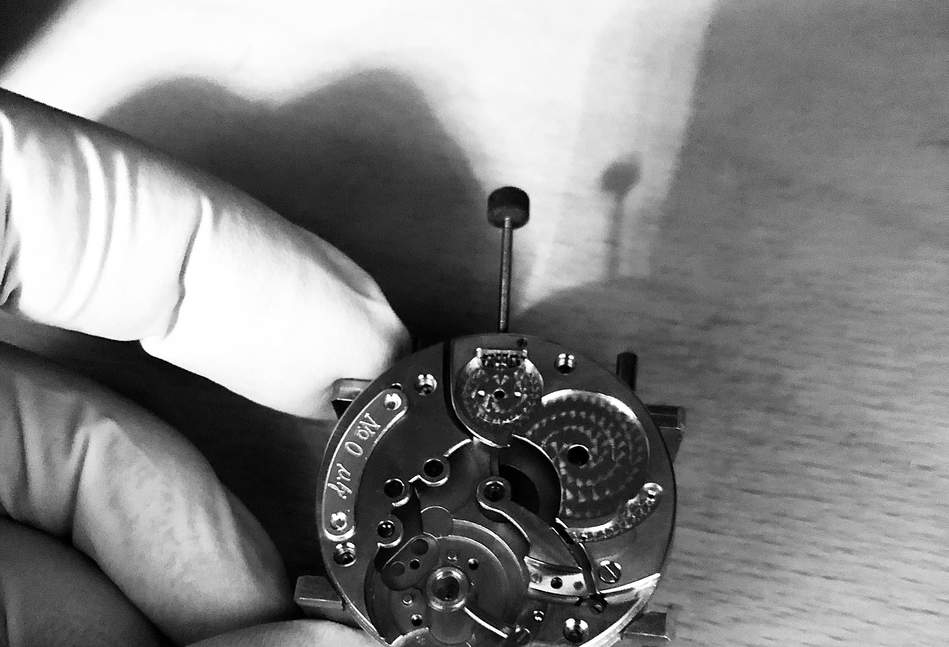 Portfolio Bild man26.heic