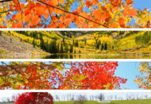 Great New England Routes for Leaf-Peeping