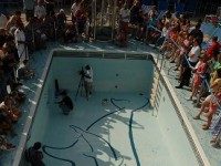 Wyland Paints Dolphins in Ruby Princess Pool Wyland Paints Dolphins in Ruby Princess Pool