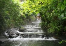Costa Rica Tours