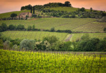 Ten Ways to Enjoy Italy