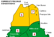 Maine Fall Foliage Update