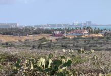 Aruba Vacations Aruba Vacations