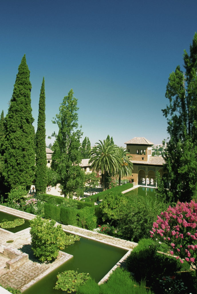 High angle view of a garden, Gardens del Partal, Alhambra, Granada, Spain
