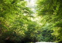 Unknown Tokyo Destination: Okutama Unknown Tokyo Destination: Okutama