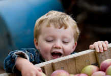 Best Places to go Apple Picking