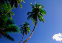 Romantic Destinations: St. Lucia Romantic Destinations: St. Lucia