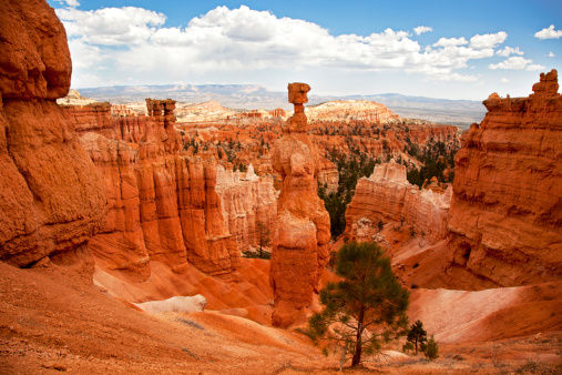 bryce canyon hoodoos