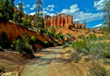 Top National Parks Visited on Guided Vacations