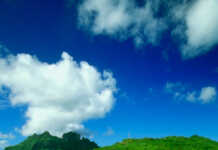 Travel Down Under, Around and Beyond