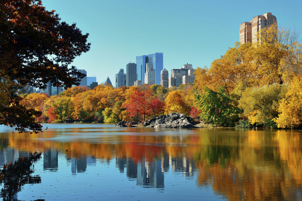 Things to Enjoy in New York in October