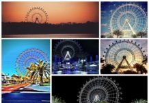 New Attractions Opening In Orlando Next Month New Attractions Opening In Orlando Next Month