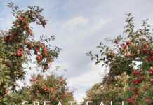 Great Fall Festivals