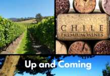 Up and Coming Wine Regions