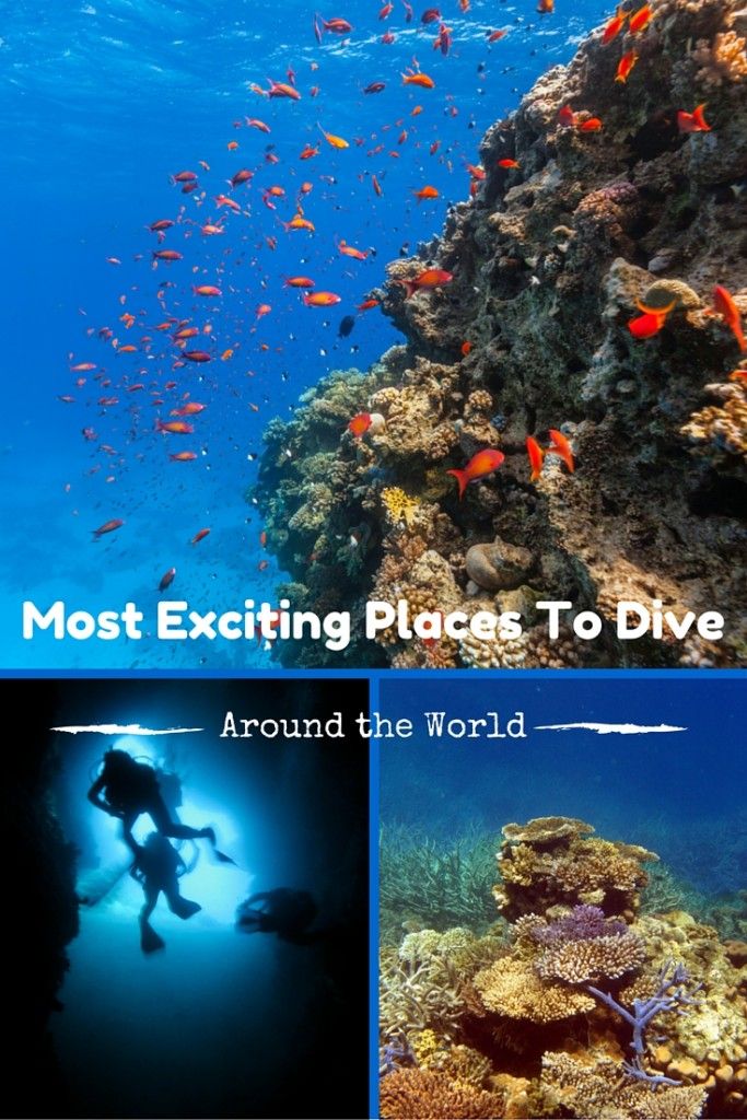 The Most Exciting Places To Dive Around The World