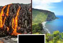 8 Reasons Why You Should Visit Hawaii This Year