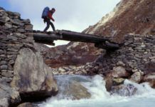 Survival Vacations Survival Vacations