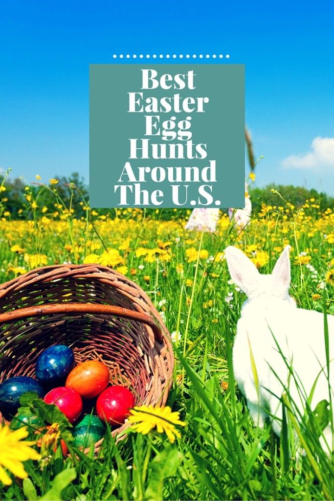 4 Of The Best Easter Egg Hunts Around The United States