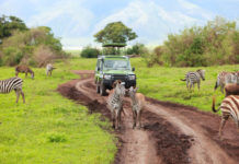 Win An African Safari For 2 Win An African Safari For 2