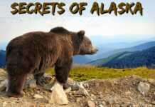 Secrets Of Alaska Secrets Of Alaska