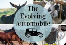 The Evolving Automobile