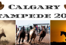 Calgary Stampede: The Greatest Outdoor Show on Earth Guide