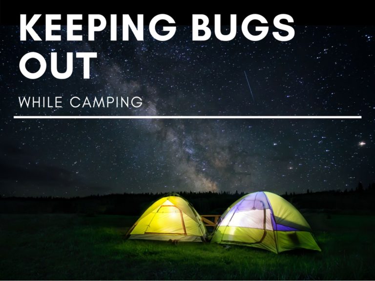 Keeping Bugs Out While Camping