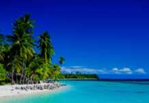 Fijian Flavors Fijian Flavors