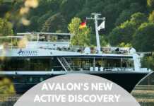 Avalon New Active Discovery Cruises
