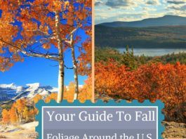 Best Places to See Fall Foliage in the U.S. – Part 1 Your Guide to Fall Foliage Around the U.S.