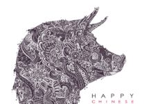 Chinese Year of the Pig 2019 Year of the Earth Pig 2019