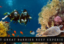 Best Great Barrier Reef Experiences