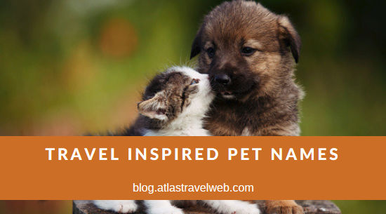 travel inspired pet names