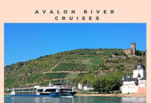 Avalon River Cruises Short & Suite Avalon River Cruises Short & Suite