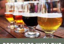 Breweries With The Best Views