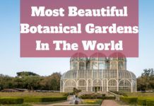 Most Beautiful Botanical Gardens In The World