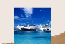 Virtual & Video Ship Tours