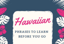 Hawaiian Words and Phrases To Learn Before Your Trip To Hawaii