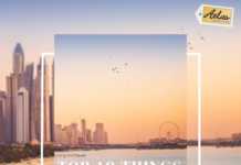 Top 10 Things to Do in Dubai