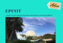 EPCOT – New Attractions and Park Updates