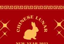Chinese Year of the Rabbit 2023 chinese lunar new year