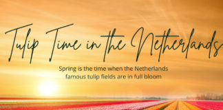 Tulip time in the Netherlands