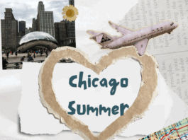 Chicago in Summer: The Ultimate Travel Guide chicago summer
